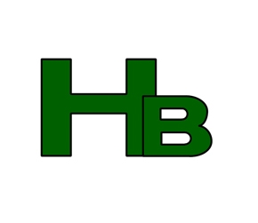 Financieel Advies Bert Huben